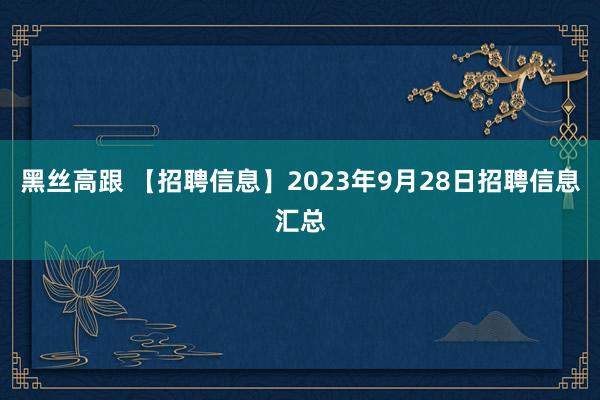 黑丝高跟 【招聘信息】2023年9月28日招聘信息汇总