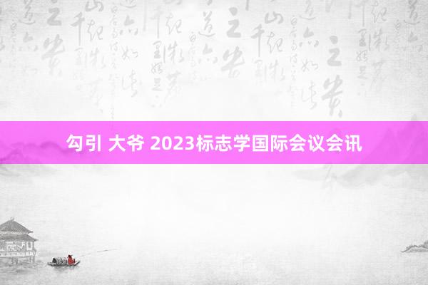 勾引 大爷 2023标志学国际会议会讯