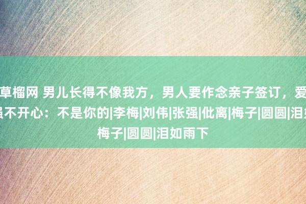 草榴网 男儿长得不像我方，男人要作念亲子签订，爱妻坚强不开心：不是你的|李梅|刘伟|张强|仳离|梅子|圆圆|泪如雨下